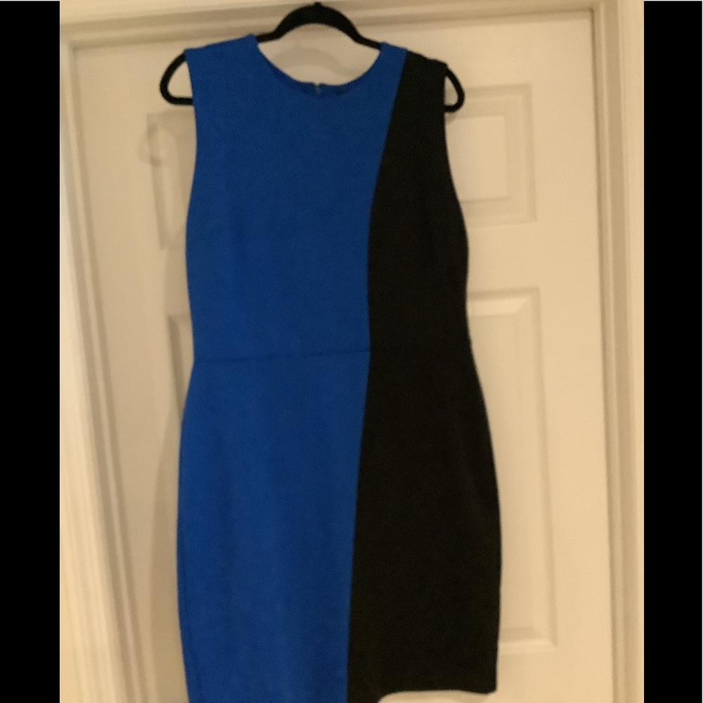 The Limited Color Block Dress